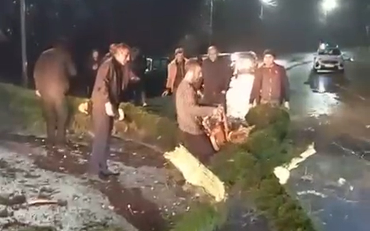 kuleyin-asirdigi-agac-lenkeran-lerik-yolunu-bagladi