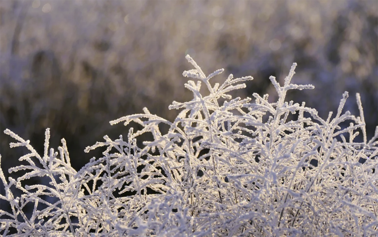 sabah-16-saxta-olacaq