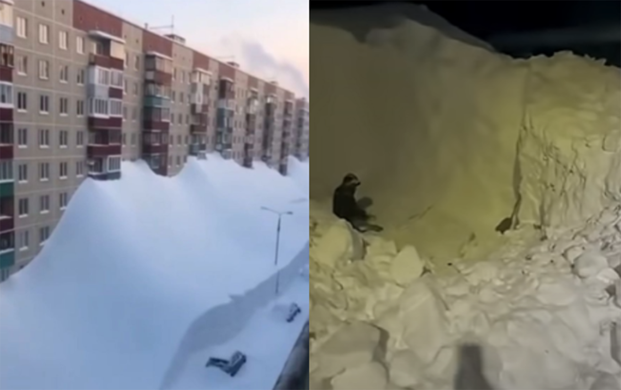 son-30-ilin-en-guclu-qari