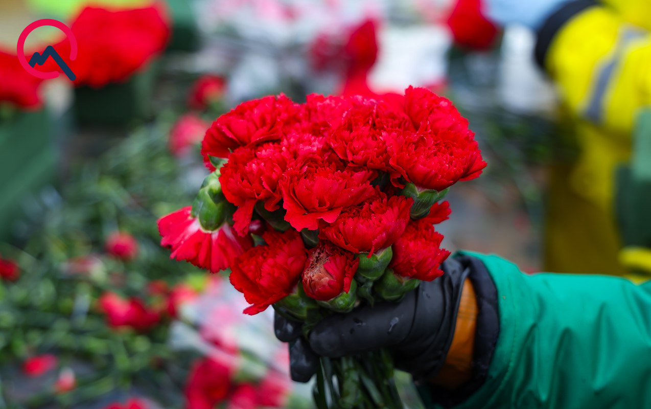 20-yanvar-gunu-hava-nece-olacaq