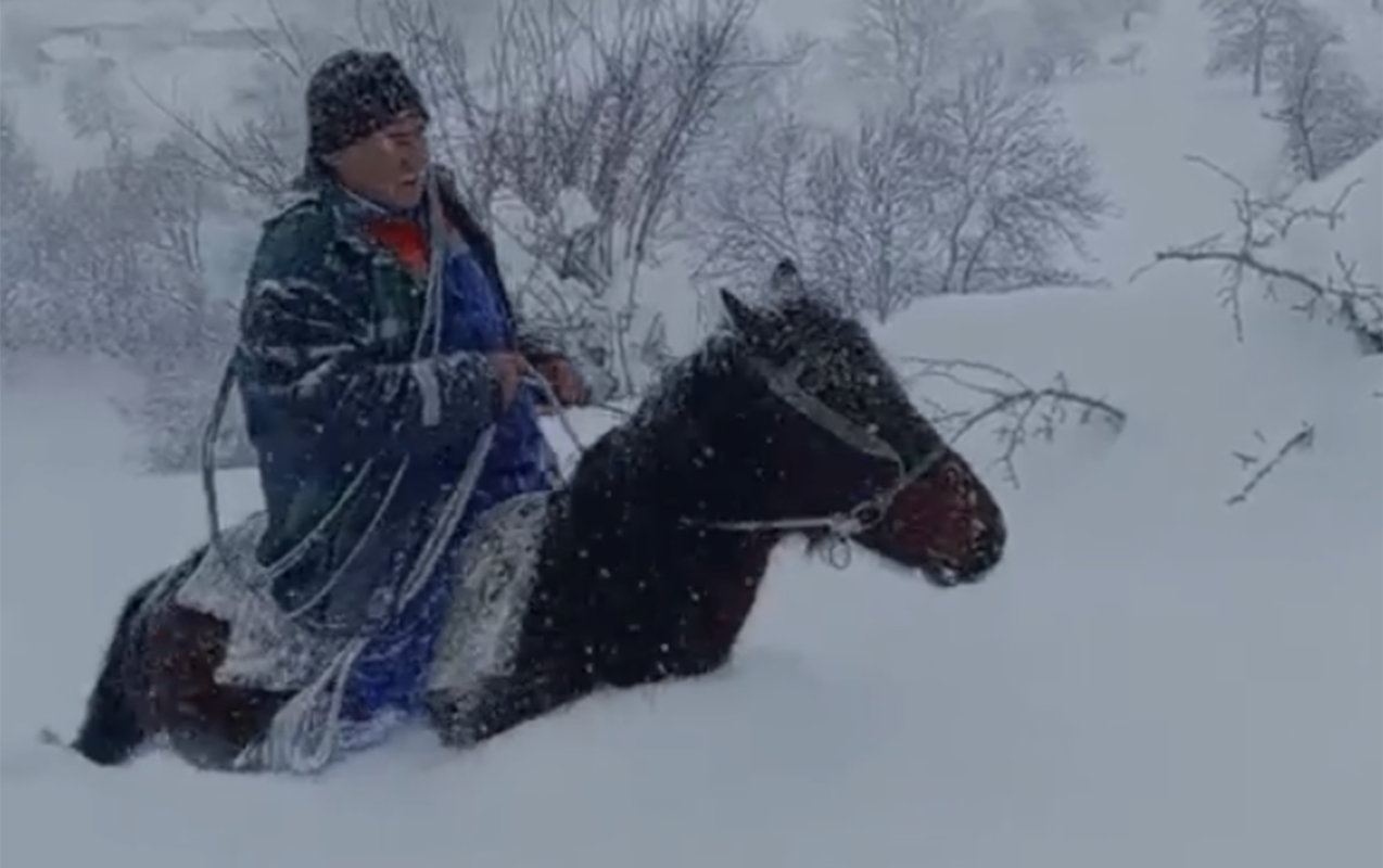 lerikin-dag-kendlerinde-bele-isigin-verilisi-berpa-edilecek