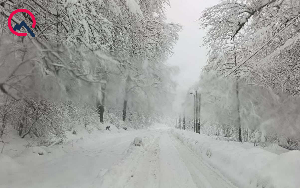 bu-qar-bir-basqa-qardir