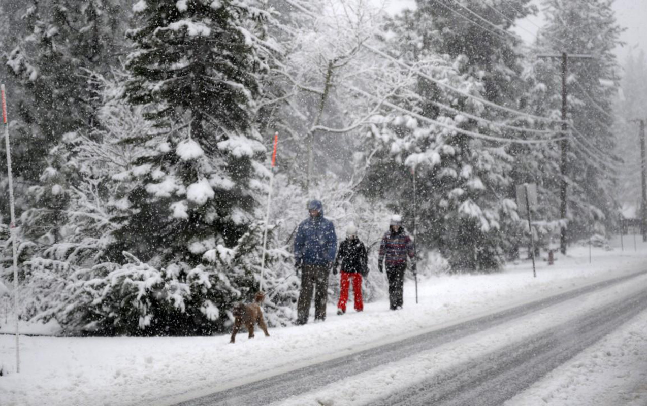 bu-olkede-45-derece-saxta-olacaq