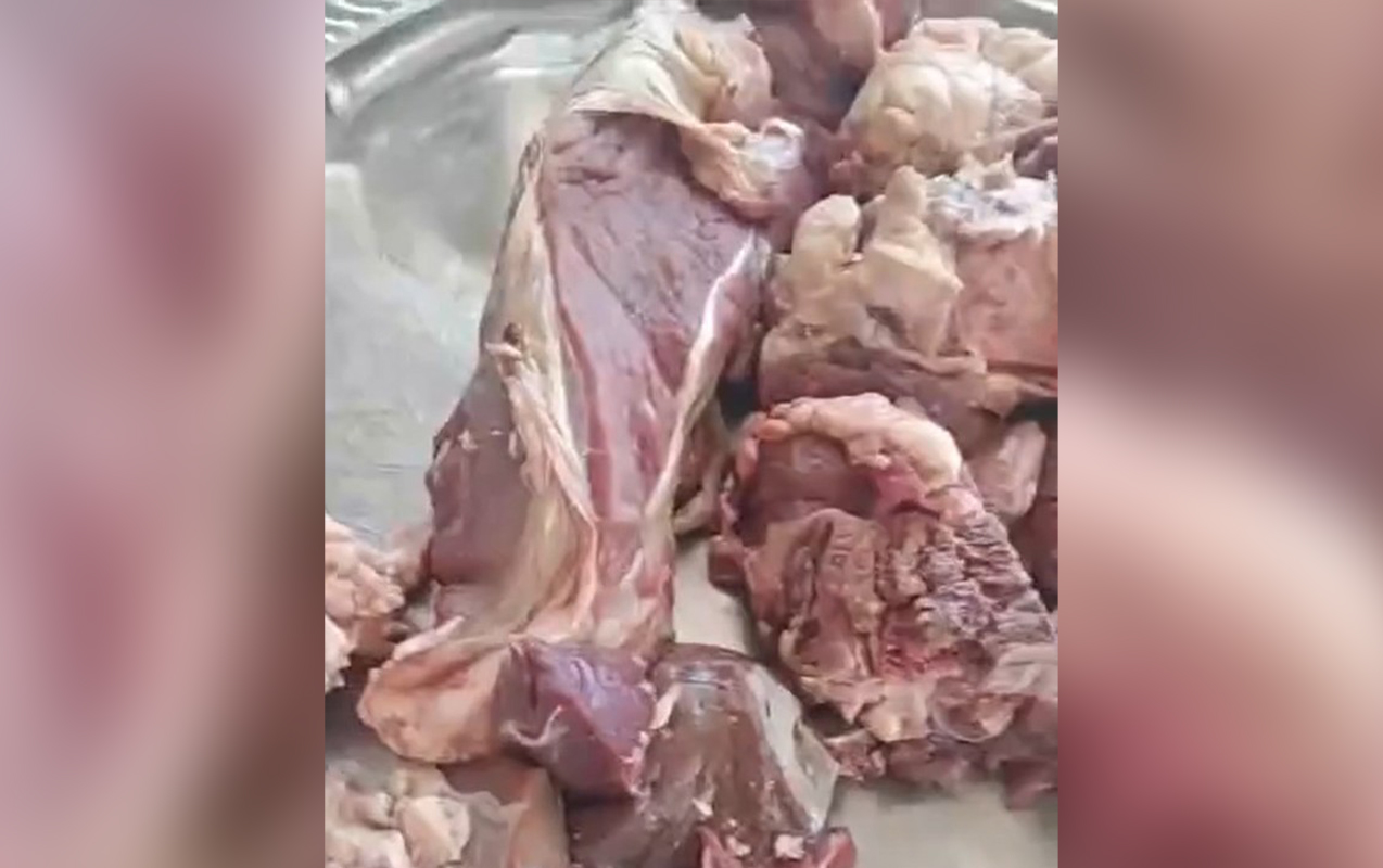 İcra Hakimiyyətinin göndərdiyi qurban əti köhnə olub?