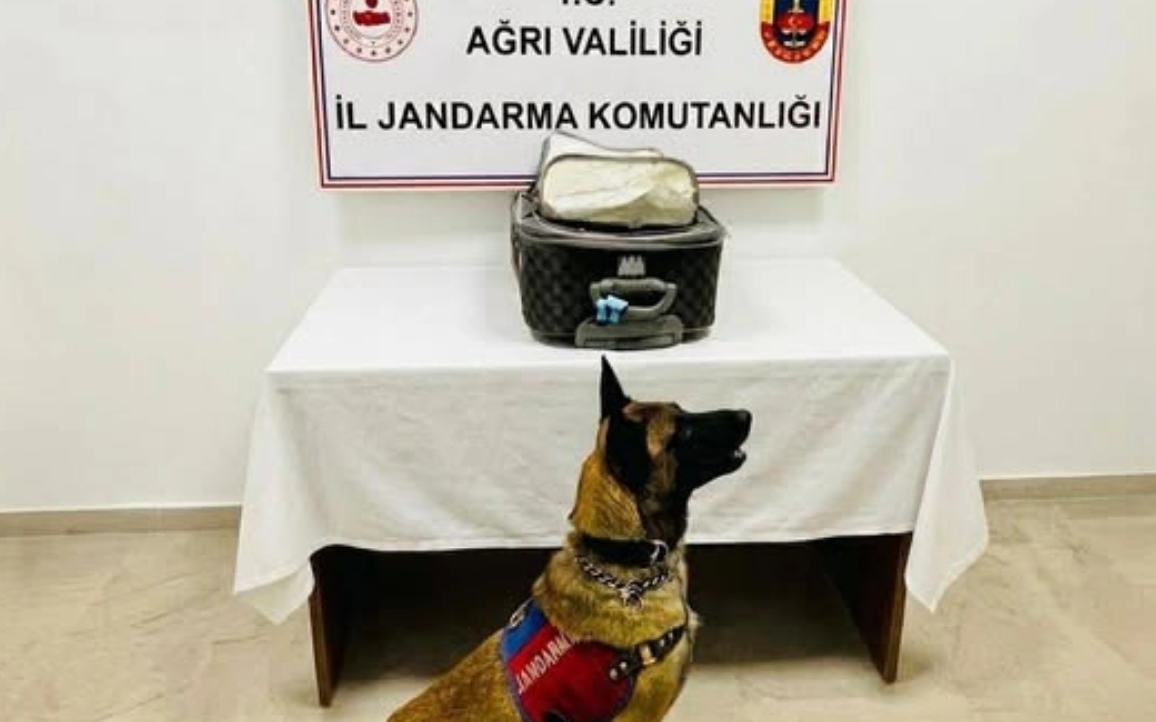 turkiyede-azerbaycan-vetendasindan-kulli-miqdarda-narkotik-goturuldu