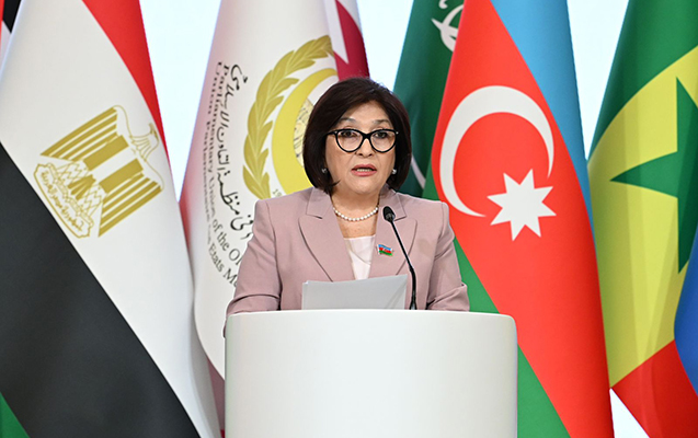 sahibe-qafarova-ietpi-nin-20-ci-sessiyasinda-cixis-etdi