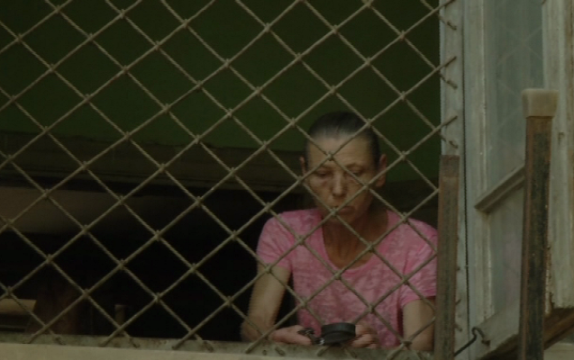 Bakıda qadın bina evində 70 it saxlayır